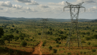 Linha de transmissão eléctrica atravessando paisagem rural entre Moçambique e Maláui