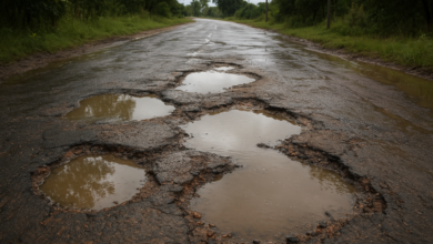 Troço de estrada nacional com água acumulada e buracos no pavimento após chuva