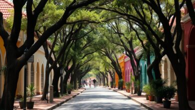 Rua arborizada e colorida com esplanadas acolhedoras e fachadas de arquitetura urbana contemporânea ao entardecer.