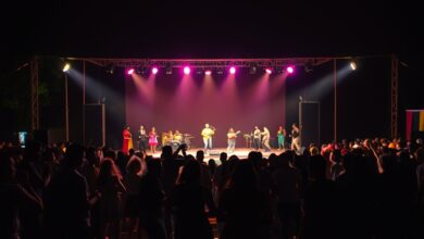 Palco iluminado durante espectáculo musical nocturno ao ar livre com silhuetas de público animado a dançar.
