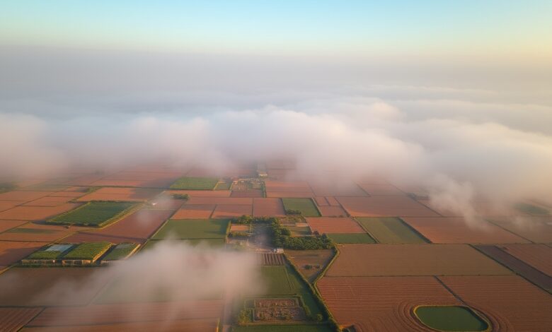 Vista aérea de campos agrícolas tradicionais na China rural sob uma névoa matinal suave.