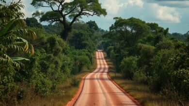 Patrulha de segurança em estrada de terra batida sob vegetação densa no norte de Moçambique.